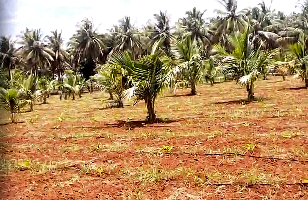 XMFW+Q2 Nitre, Karnataka, India