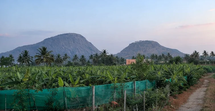 Agricultural Land in Dondadasakodigehalli, doddaballapur, nandi hills, Bengaluru-rural