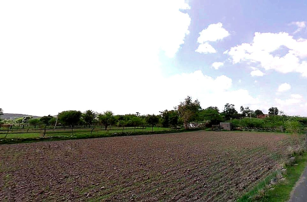 Agricultural Land in Lanji, tekri, Balaghat