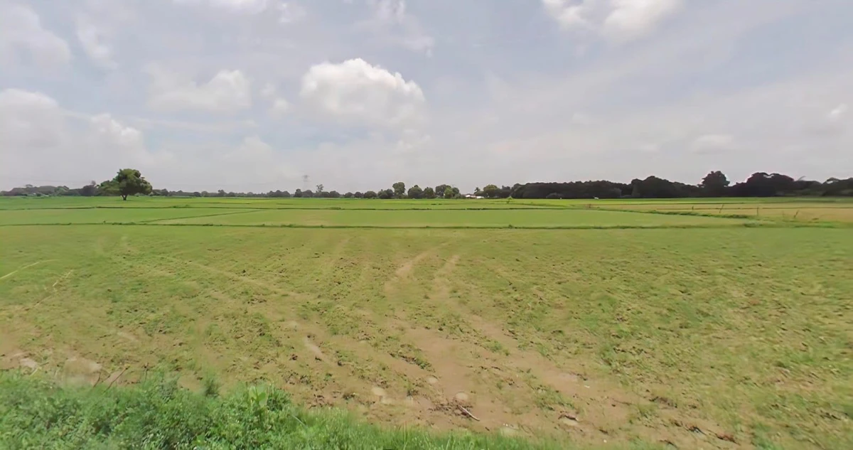 Salaiya, Madhya Pradesh, India