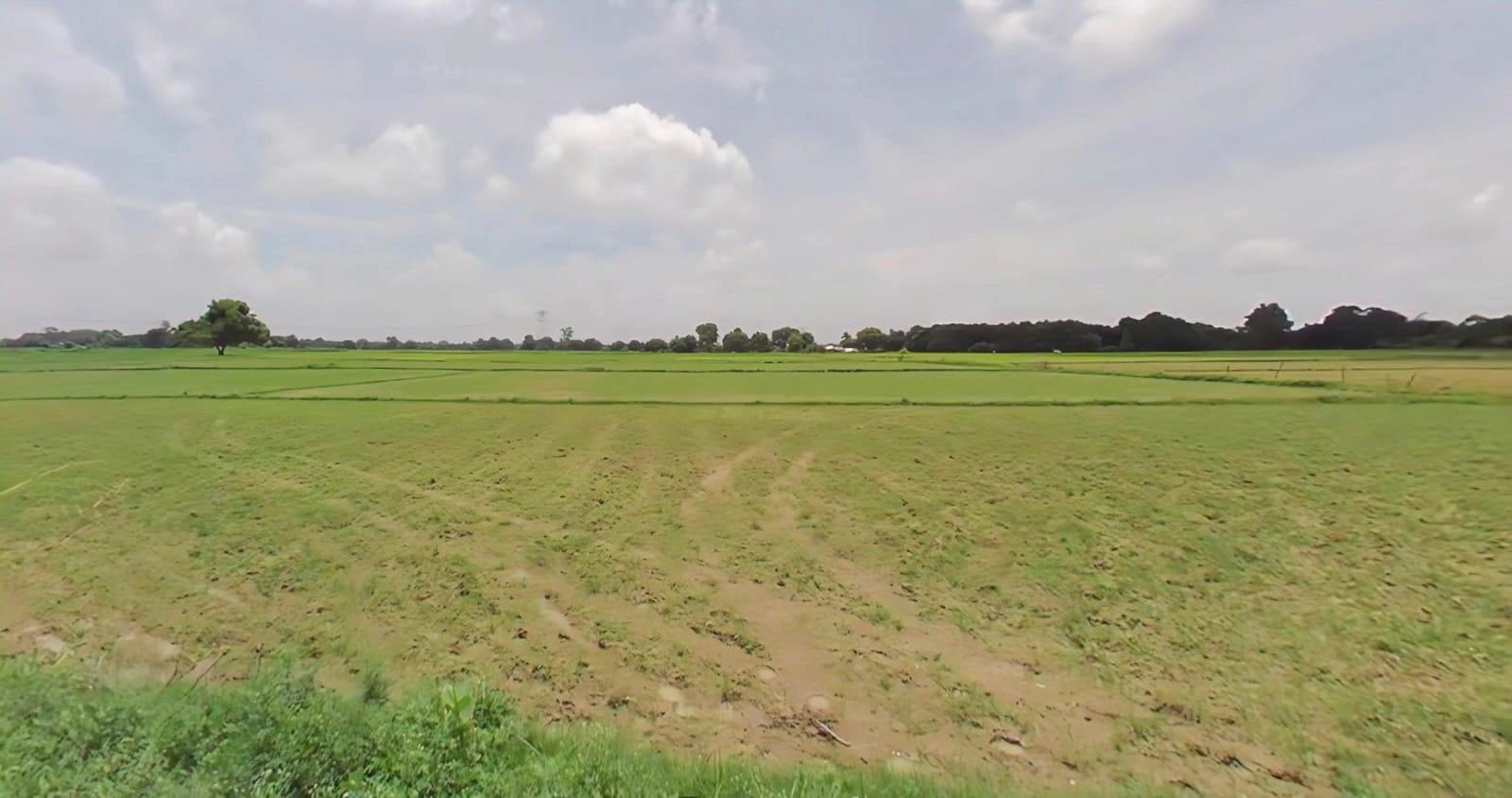 Salaiya, Madhya Pradesh, India