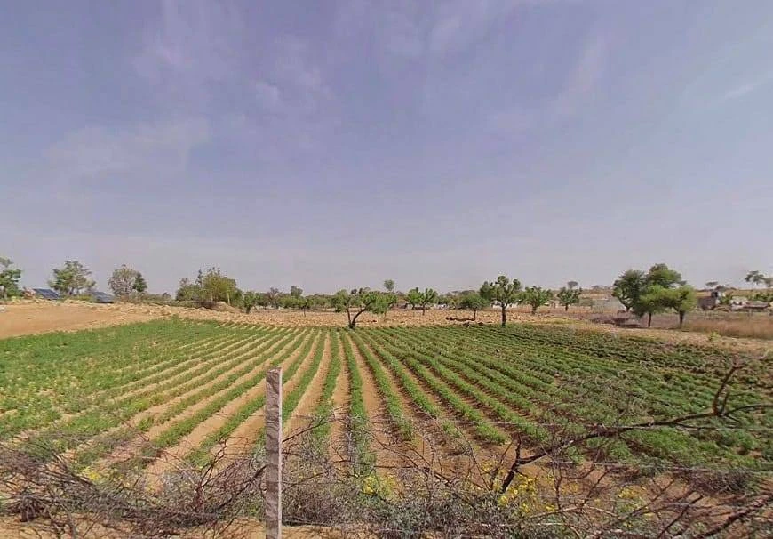 M9QC+CJV, RJ SH 37B, Rampura, Rajasthan 333303, India