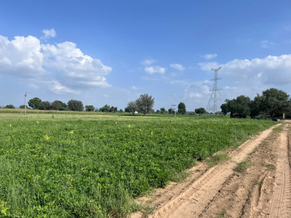 WH4C+XM Khatkar, Rajasthan, India