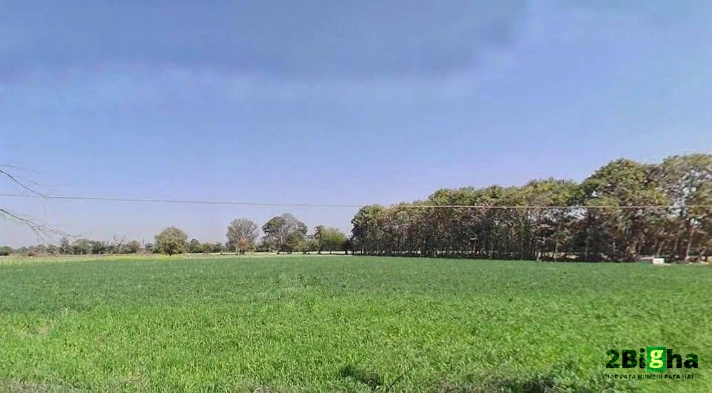 Rani Pipriya, Madhya Pradesh 487110, India