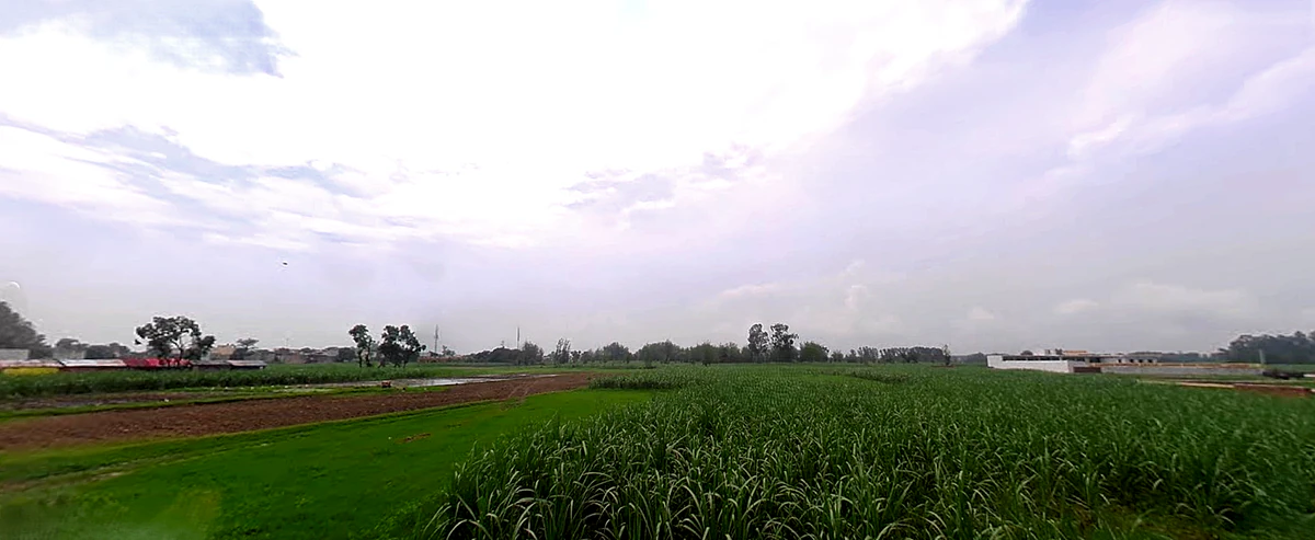 Jwalapur, Uttarakhand, India