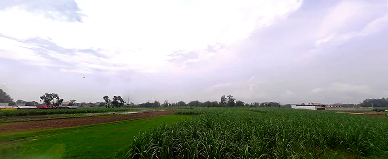 Jwalapur, Uttarakhand, India