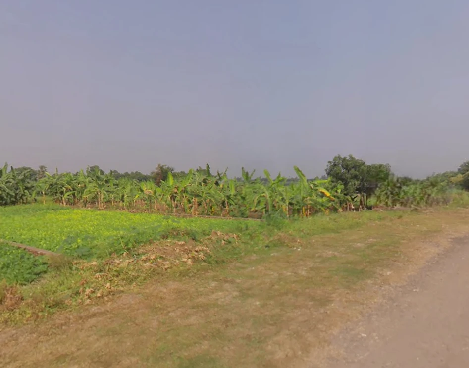 Action Area III, Chotto Chandpur, Newtown, New Town, West Bengal, India