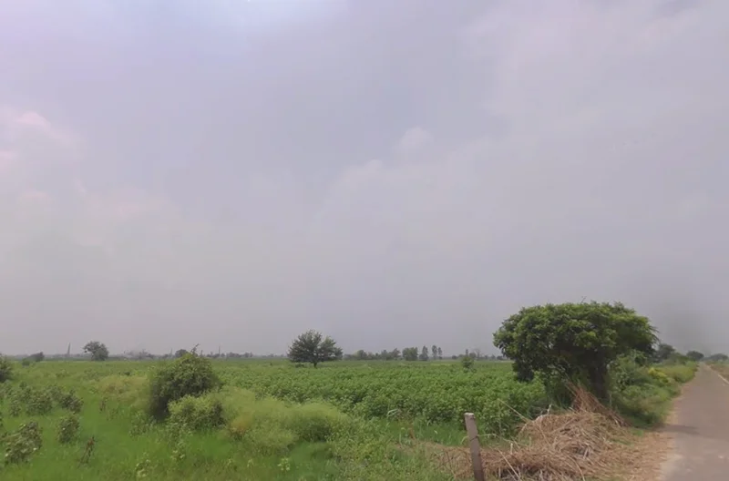 Agricultural Land in Durgapur, panagarh, Paschim-bardhaman