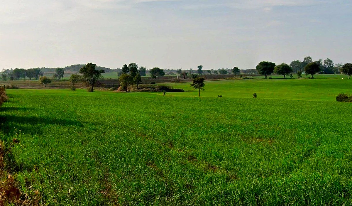 97C6+QXM, Chhindwada, Madhya Pradesh 462036, India