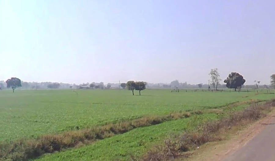 Bijolia, Rajasthan 311602, India