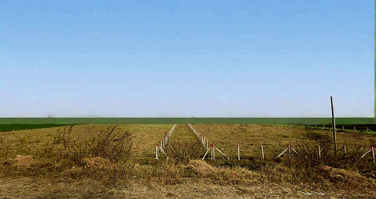 Bairagarh, Madhya Pradesh 455001, India