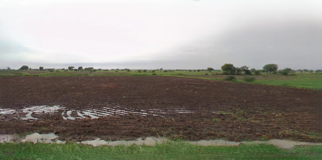 Budaun, Uttar Pradesh 243601, India