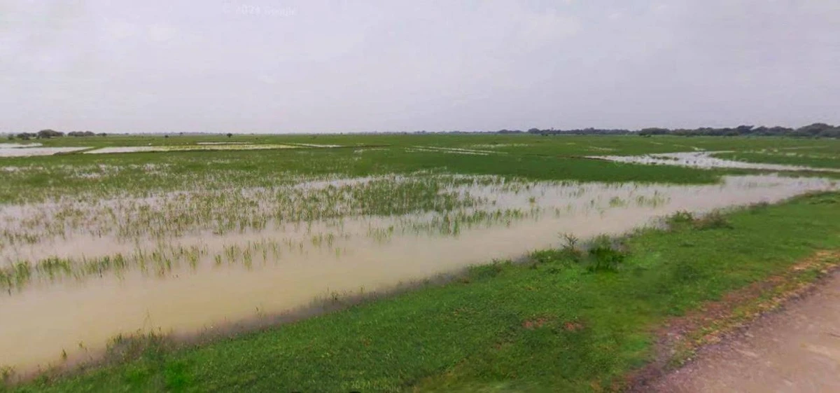 Satna, Madhya Pradesh, India