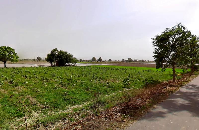 Bapauli, Haryana 132104, India preview 2