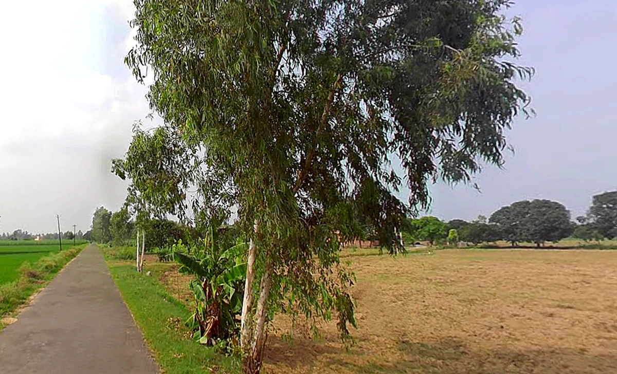 Jansath, Uttar Pradesh 251314, India