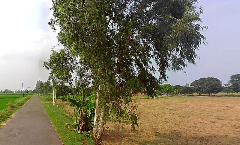 Jansath, Uttar Pradesh 251314, India