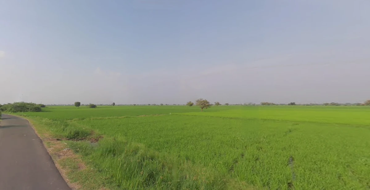 Ganthila, Gujarat 362215, India