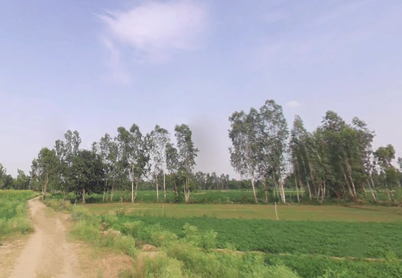 Parashurampuri, Uttar Pradesh 242221, India