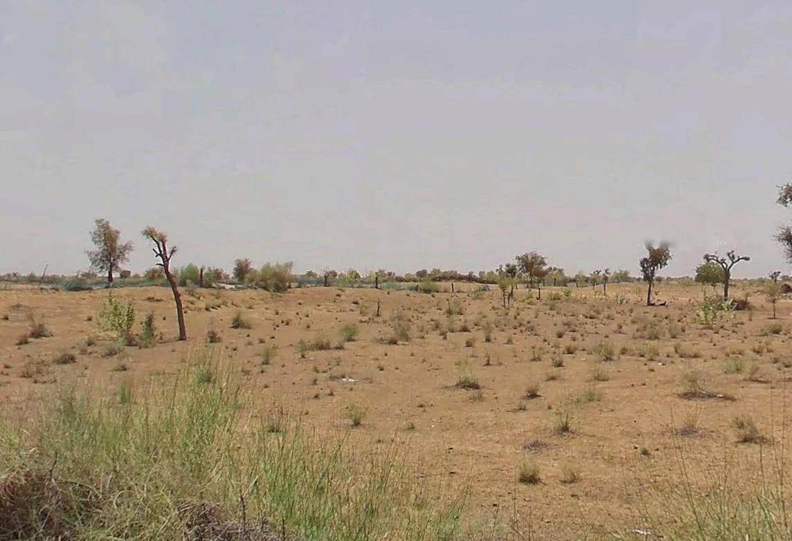 CXC9+R6 Hanuman Nagar, Rajasthan, India