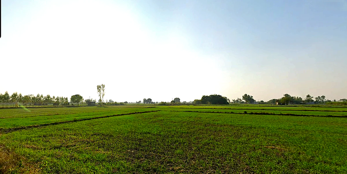 Pharala, Punjab 144503, India