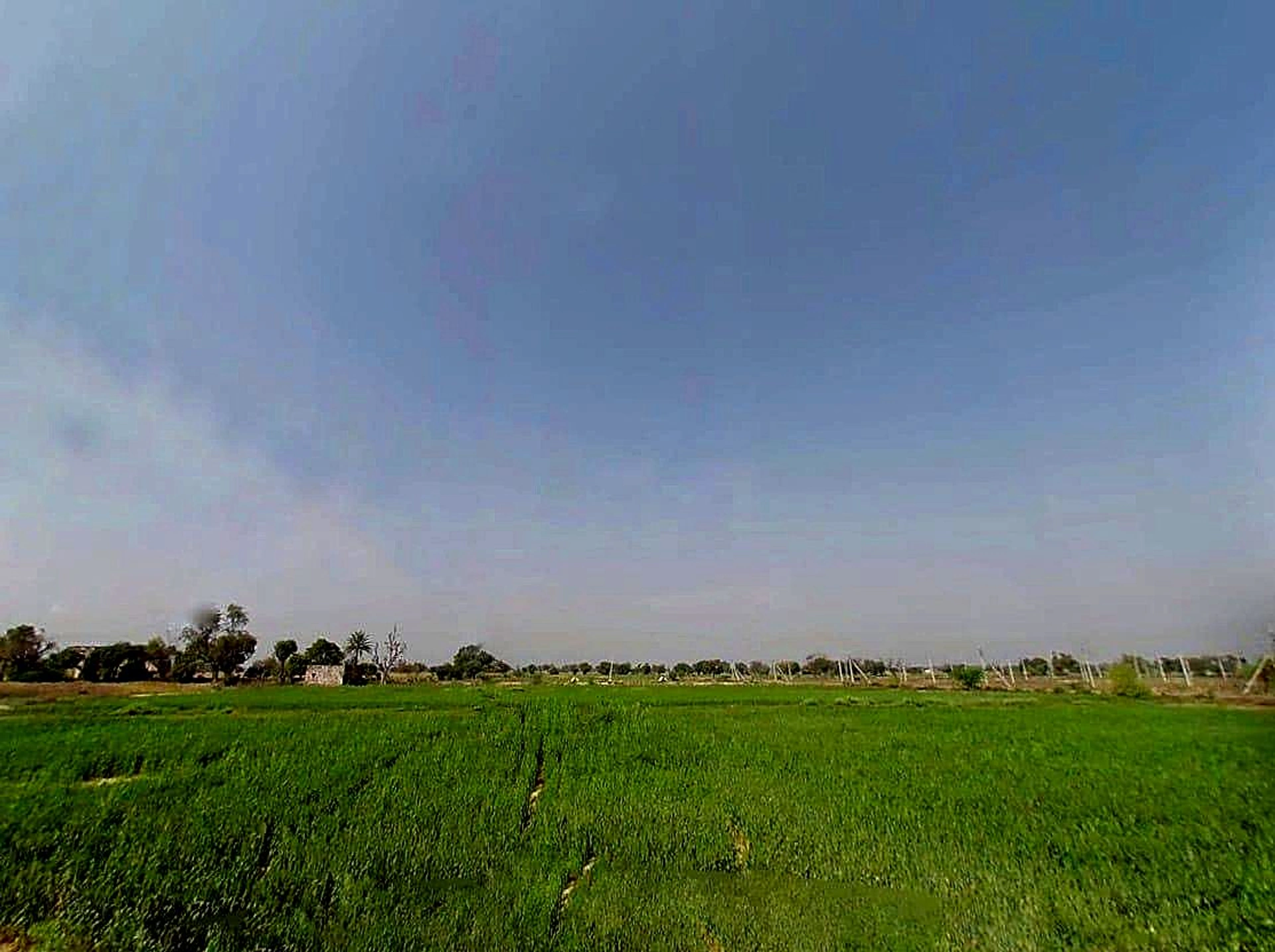 JXHJ+P29, Bhagwanpura, Rajasthan 303901, India