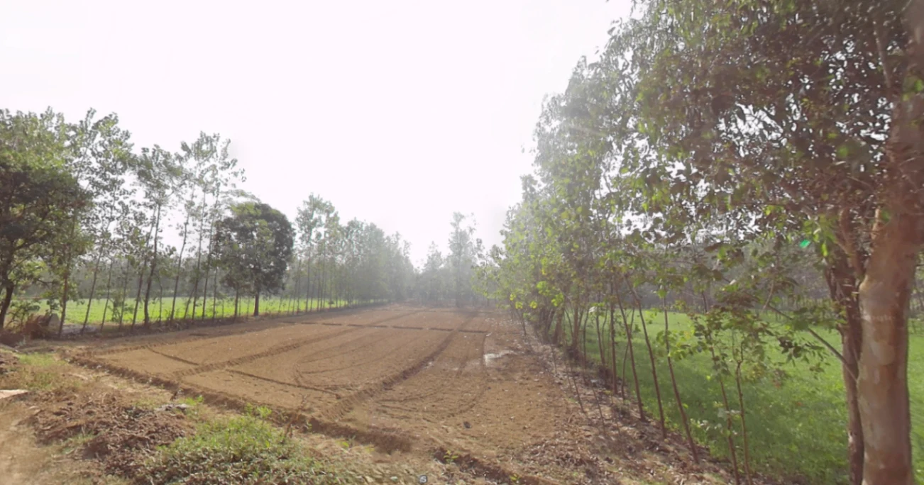 Dada Patti, Uttarakhand 247662, India