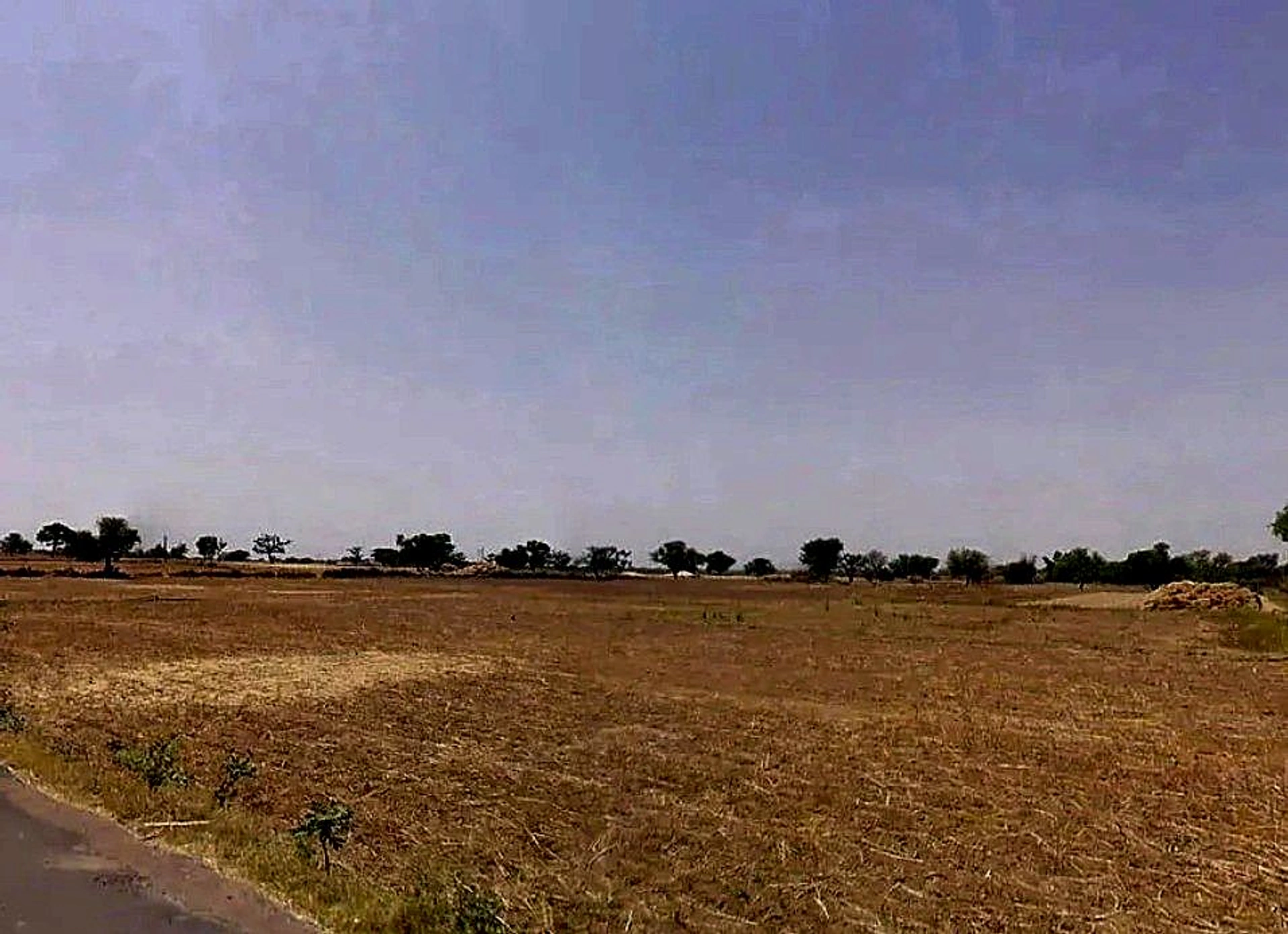 Palsana, Rajasthan 332402, India