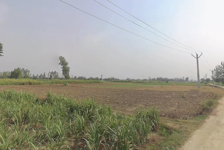 Amroha, Uttar Pradesh, India preview 3