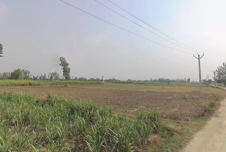 Amroha, Uttar Pradesh, India