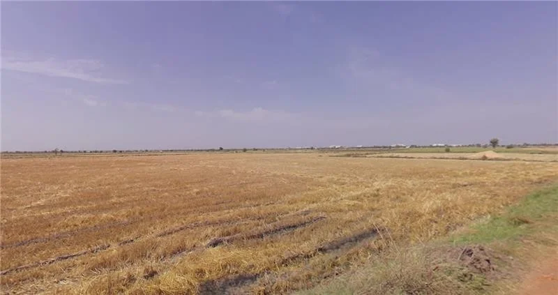 Agricultural Land in Viramgam, Ahmedabad