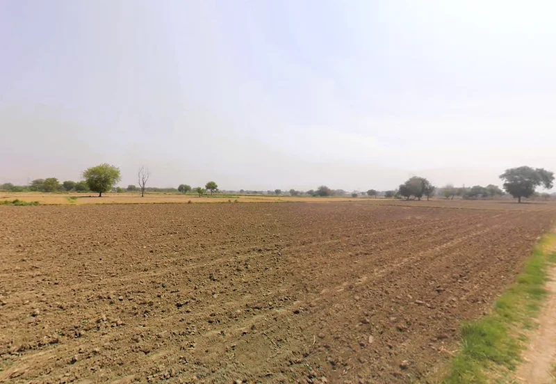 Pirthla, Haryana, India preview 3