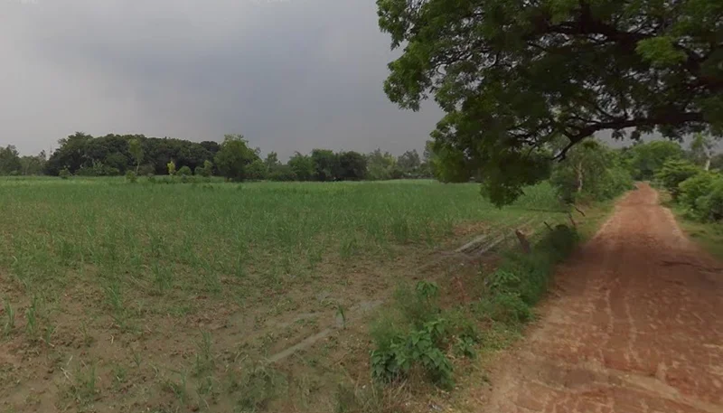 Maholi, Uttar Pradesh 261141, India preview 3