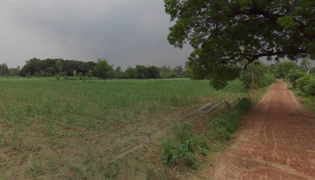 Maholi, Uttar Pradesh 261141, India