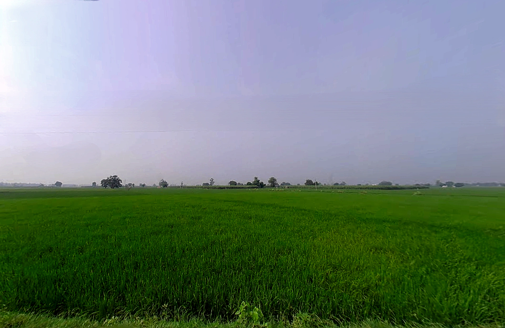 Sandhir, Haryana 132117, India