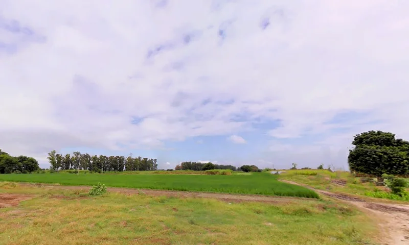 Patti Kalyana, Haryana 132102, India preview 2