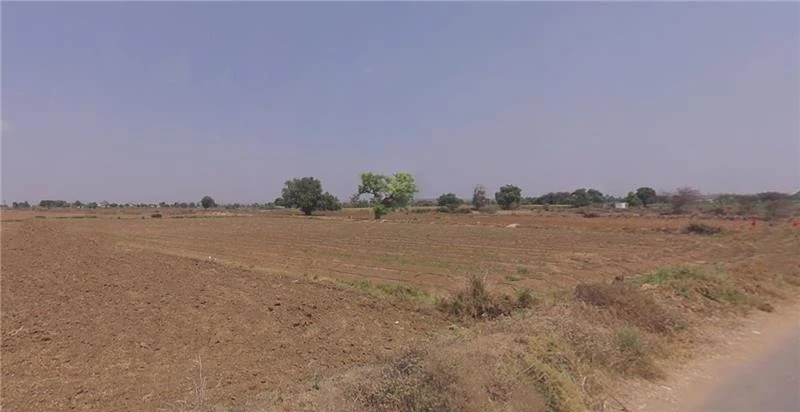 Agricultural Land in Dantiwada , Banaskantha