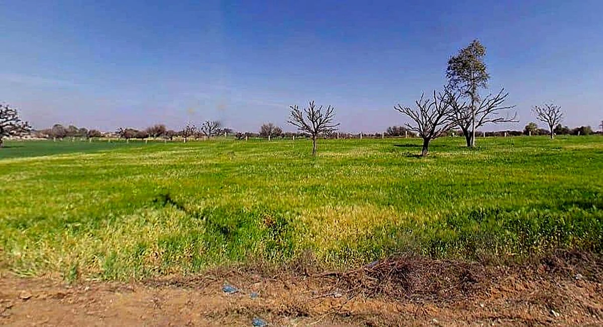 Aloda, Rajasthan 332602, India