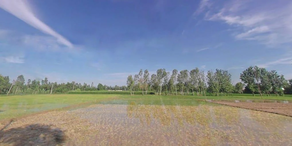 Agricultural Land in Puwarka, Shahjahanpur