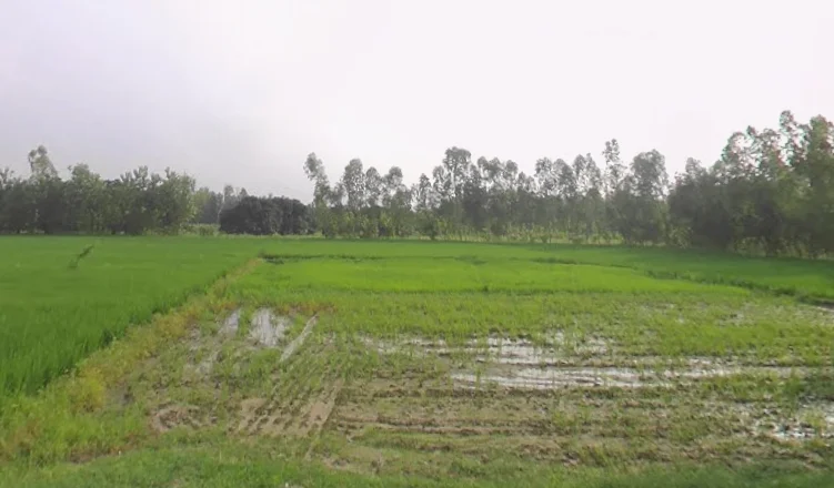 Mirzapur Pole, Uttar Pradesh 247121, India