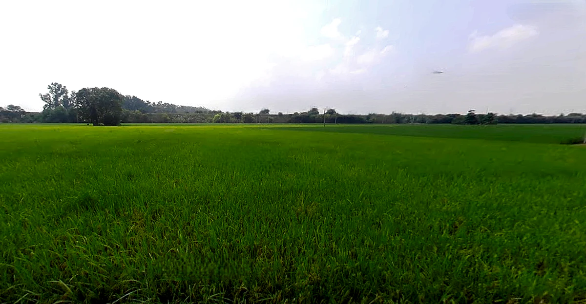 Sarai Banjara, Punjab 140402, India