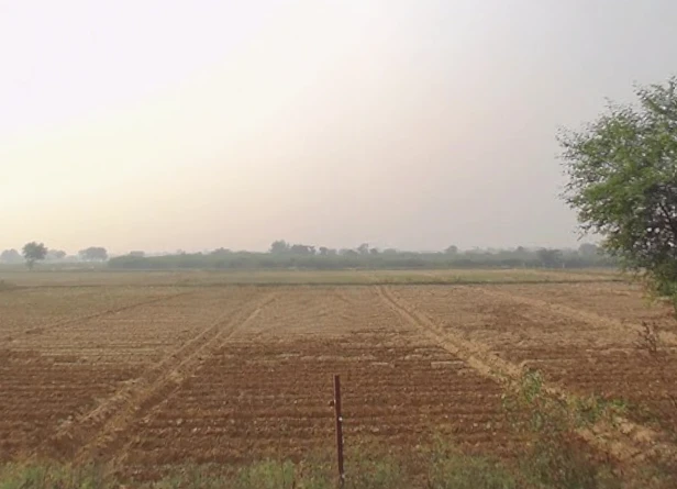 AGRICULTURAL land in Sadabad / Nagla Nathu, hathras
