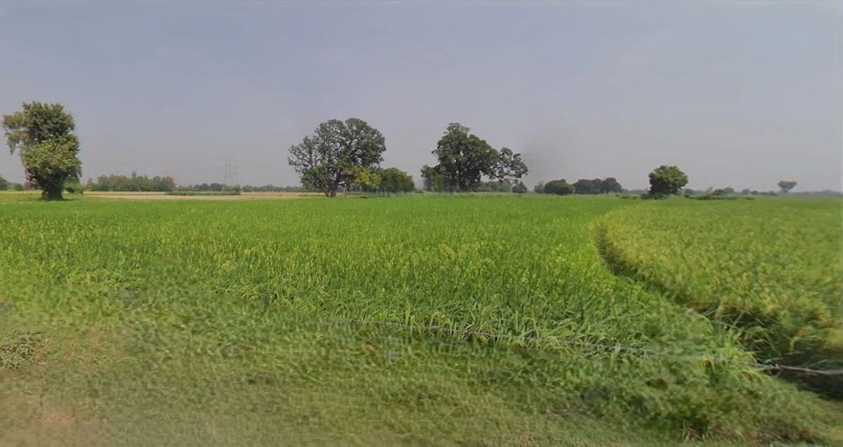 Satna, Madhya Pradesh, India