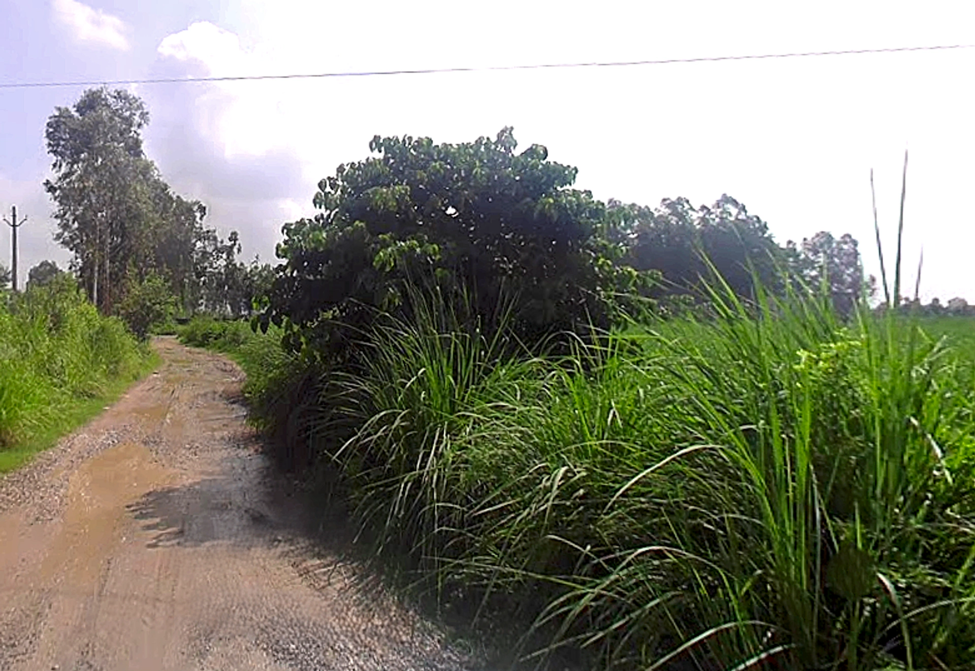 Bhaguwala, Uttar Pradesh 246749, India