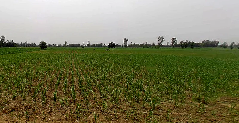 Garh Mukteshwar, Uttar Pradesh 245205, India preview 2