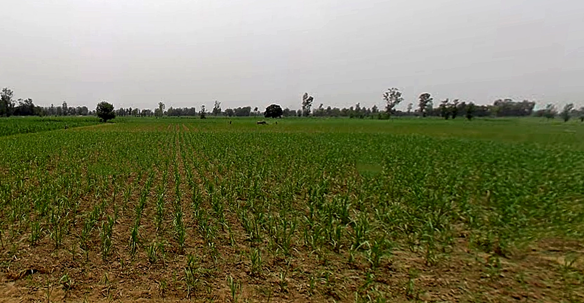 Garh Mukteshwar, Uttar Pradesh 245205, India