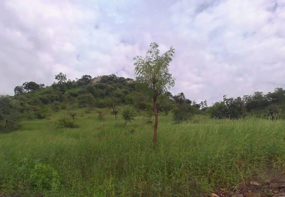 MJR4+4R6, Bandarwara, Rajasthan 313011, India