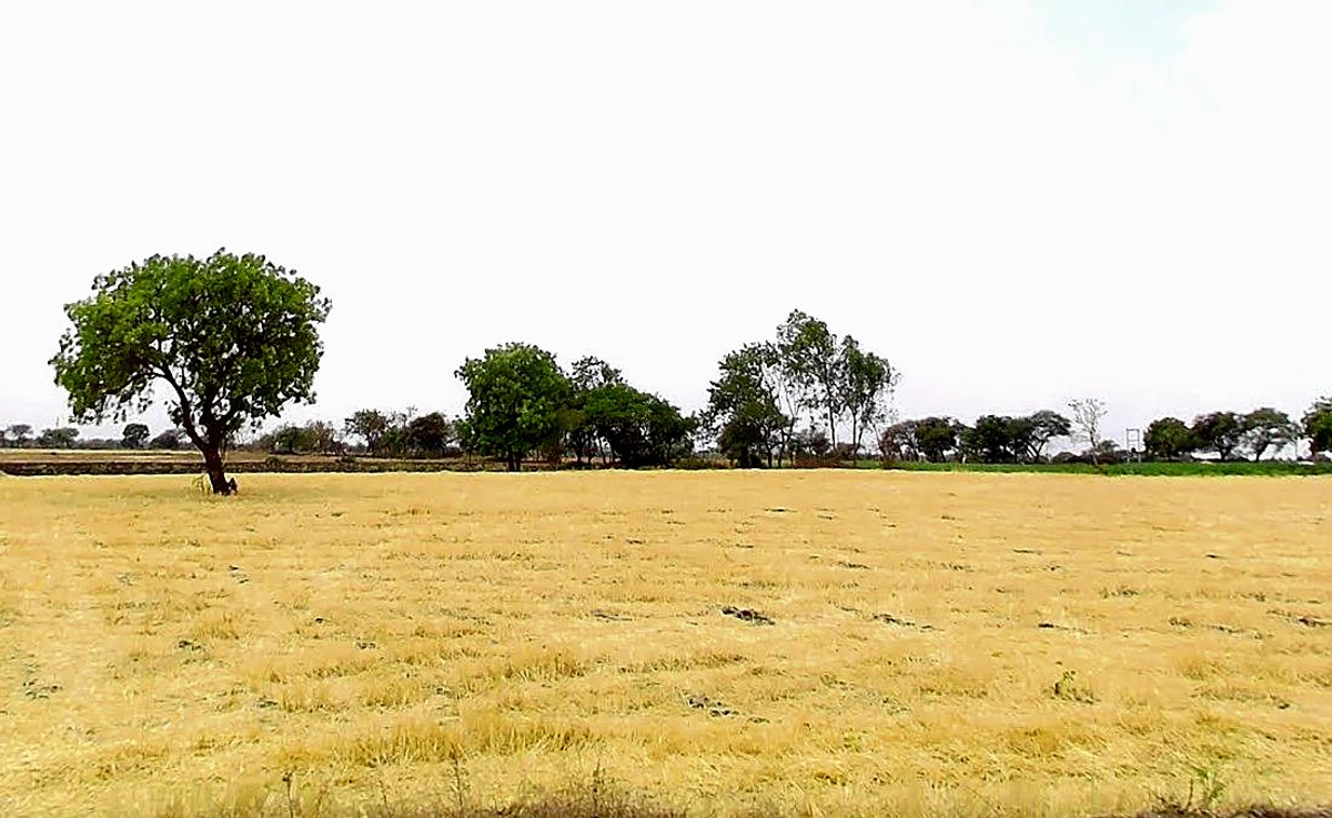 Dhulet, Madhya Pradesh 456443, India