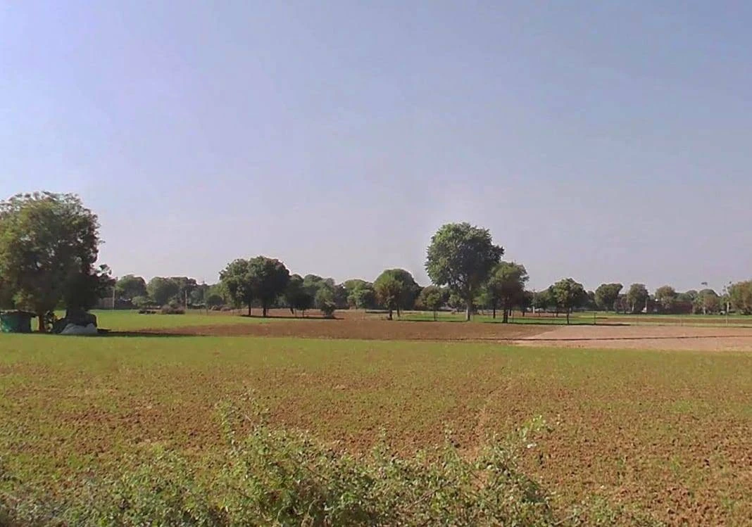 AGRICULTURAL in Renwal Manji, jaipur