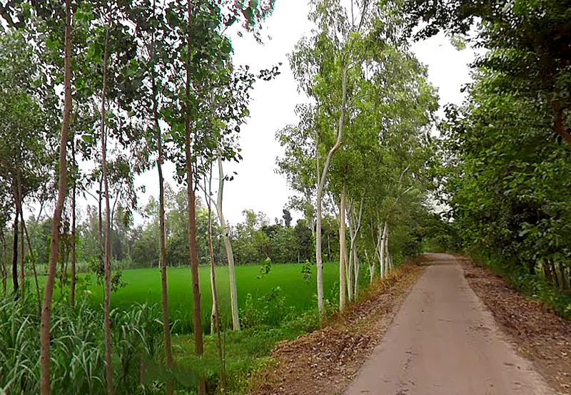 2MJJ+QJM, Unnamed Road, Badhedi, Uttar Pradesh 247001, India preview 3