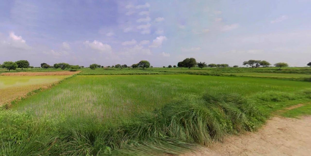 Barpeta, Assam, India